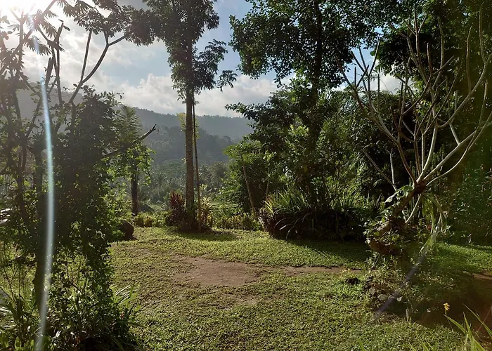 Abian View House *