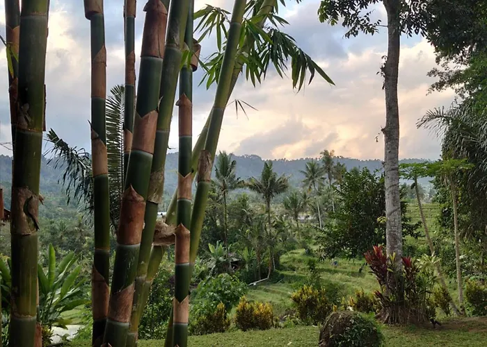 Abian View House Sidemen (Bali)